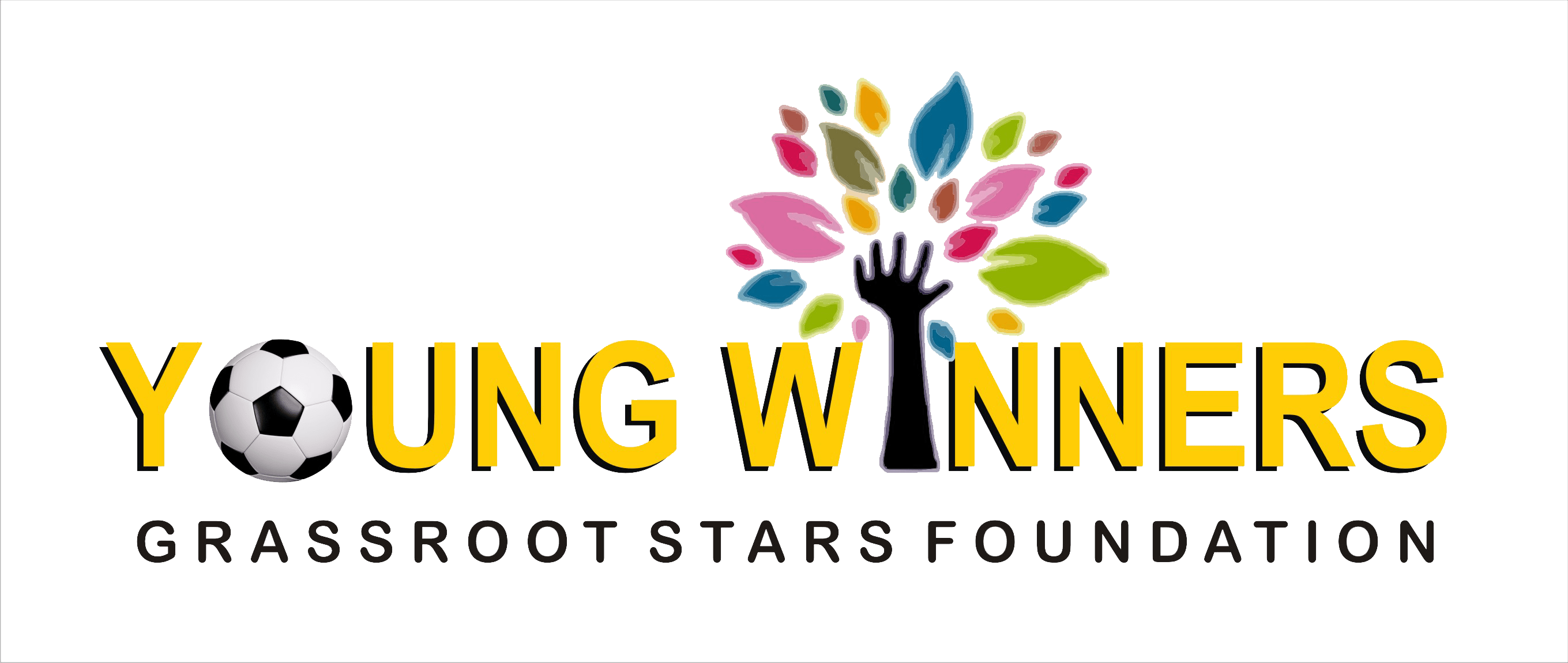 Young Winners Grassroot Stars Foundation